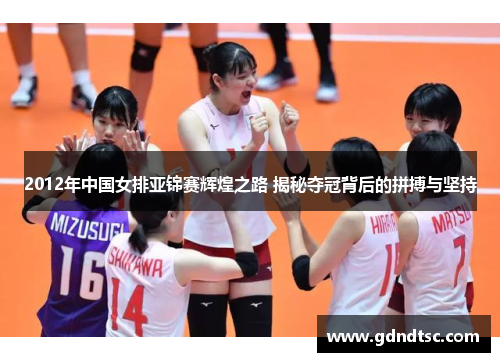 2012年中国女排亚锦赛辉煌之路 揭秘夺冠背后的拼搏与坚持