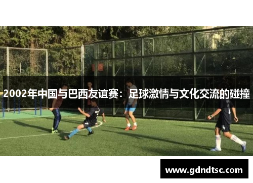 2002年中国与巴西友谊赛：足球激情与文化交流的碰撞
