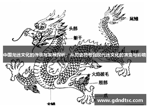 中国龙迷文化的传承与发展探析：从历史符号到现代迷文化的演变与影响